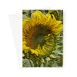 Ukraine Sunflower Opening Greeting Card