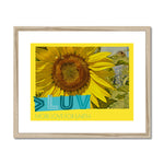 MORE LUV for EARTH Sunflower Framed & Mounted Print