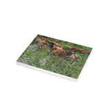 Greeting Card Bundles (10, 30, 50 pcs)