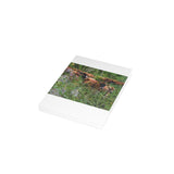 Greeting Card Bundles (10, 30, 50 pcs)