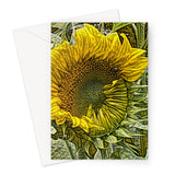 Ukraine Sunflower Opening Greeting Card