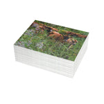 Greeting Card Bundles (10, 30, 50 pcs)