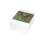 Greeting Card Bundles (10, 30, 50 pcs)