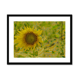 Ukraine: Sunflower 2 Framed & Mounted Print