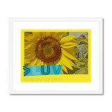 MORE LUV for EARTH Sunflower Framed & Mounted Print