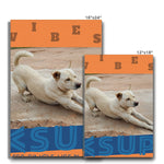 Yoga Vibes "Downward Dog" Less Single-use Plastic Design # 244 by Juliana2me Eco Canvas