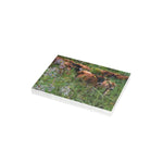 Greeting Card Bundles (10, 30, 50 pcs)