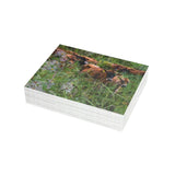 Greeting Card Bundles (10, 30, 50 pcs)