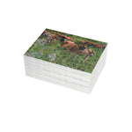 Greeting Card Bundles (10, 30, 50 pcs)