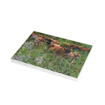 Greeting Card Bundles (10, 30, 50 pcs)